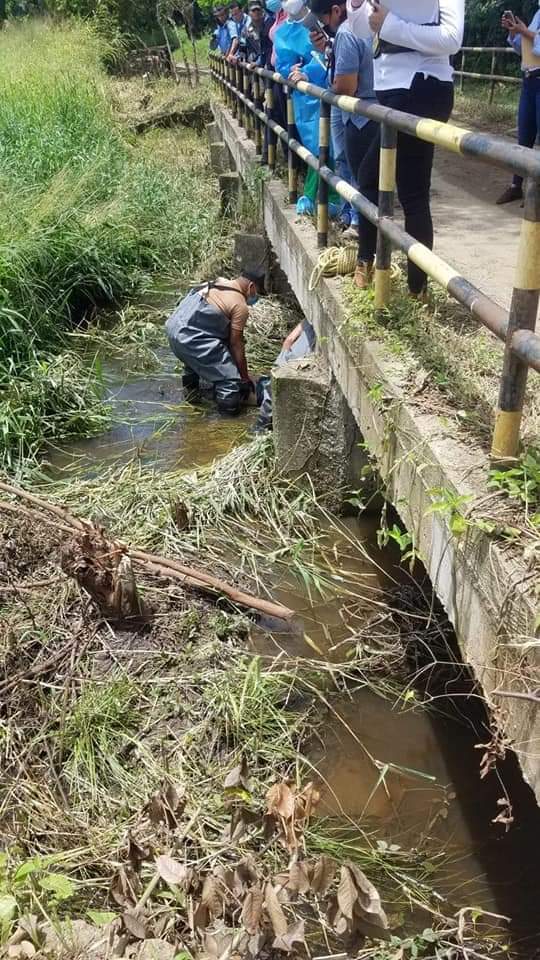 Bajo puente encuentran persona sin vida