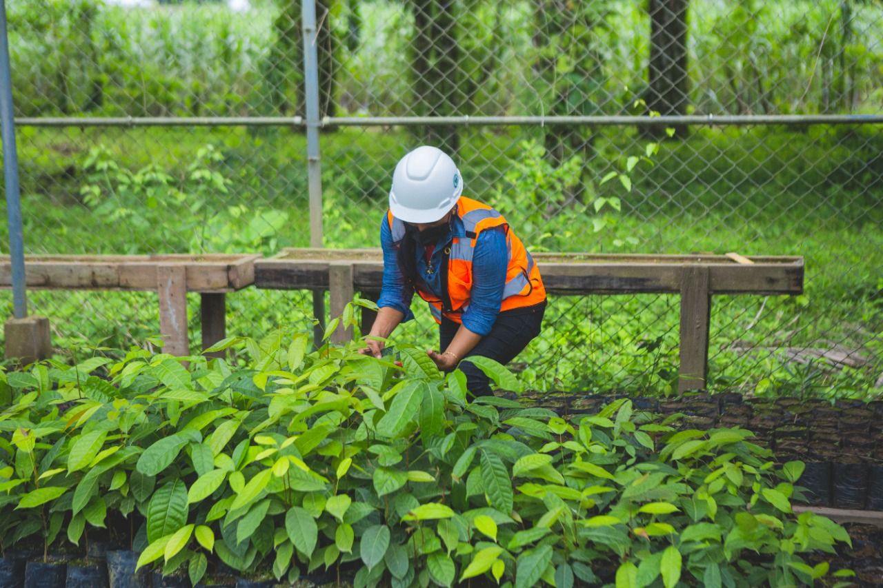 ONGs de ambiente y derechos humanos destacan responsabilidad ambiental de Inversiones Los Pinares en Tocoa