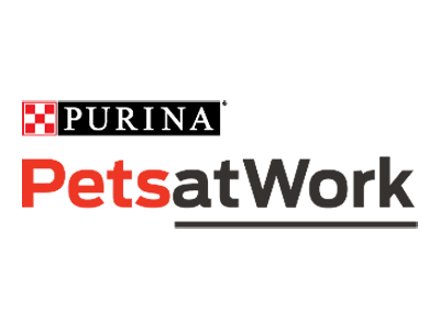 Colaboradores de Nestlé en Honduras llevan sus mascotas a la oficina con el programa “Pets at Work” de Nestlé Purina