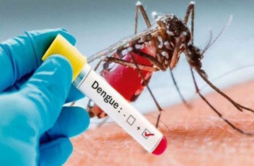 Cinco departamentos en epidemia por Dengue