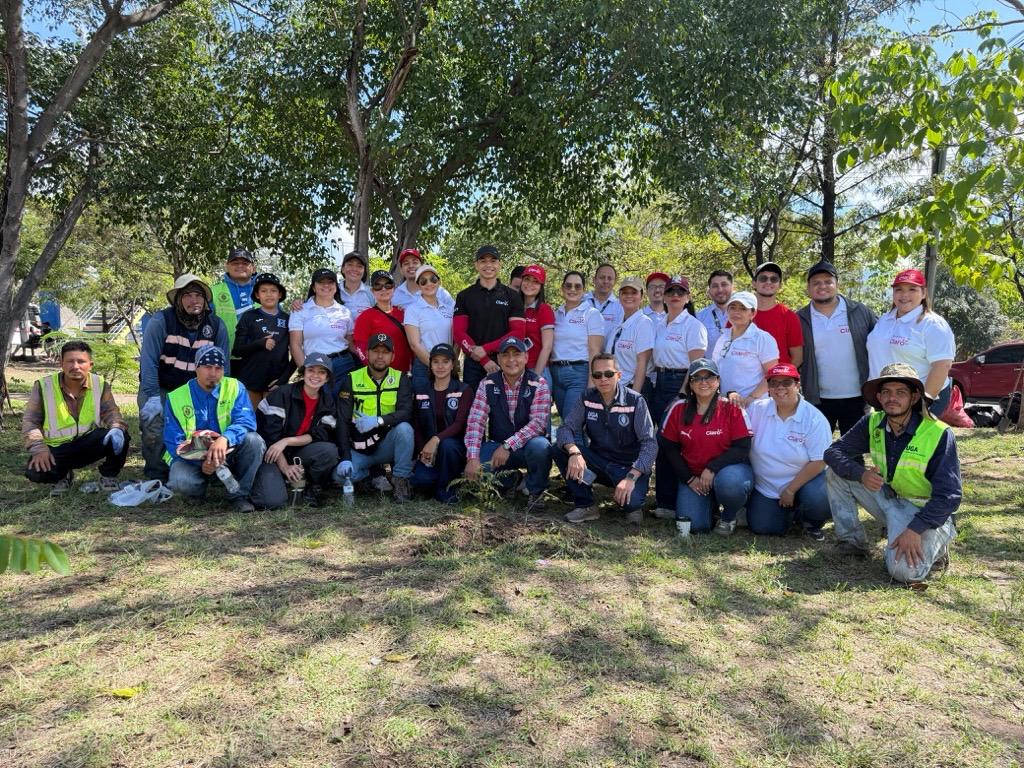 Claro Honduras impulsa jornada de reforestación para contribuir a la recuperación de áreas verdes