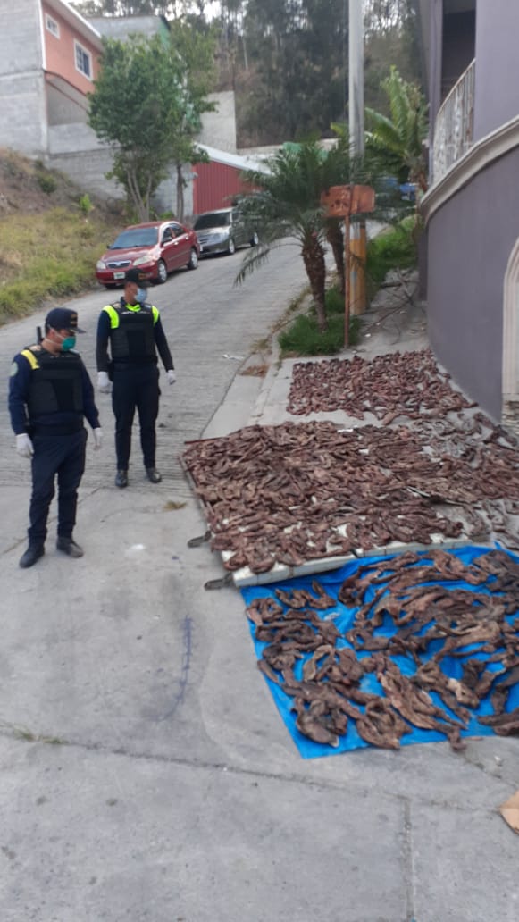 Decomisan más de 400 libras de carne “Juca y Mosqueada” | Tegucigalpa