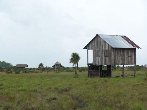 Identifican a víctimas de la masacre en la Mosquitia.