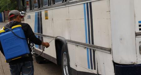 TGU: 1,500 unidades de transporte certificadas están listas para iniciar operaciones el lunes