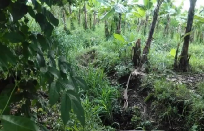 Asesinan a un migrante hondureño.