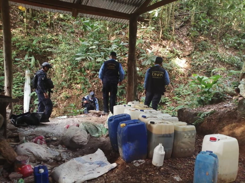 Policía Nacional encuentra cultivo de arbusto de coca y narcolaboratorio en Iriona, Colón