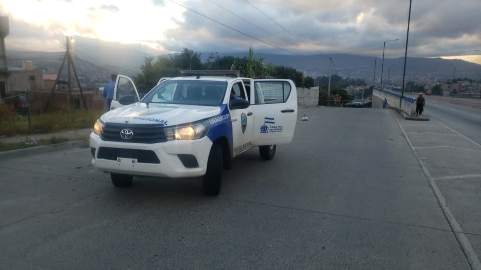 ¡ERAN CABEZAS DE CERDO!