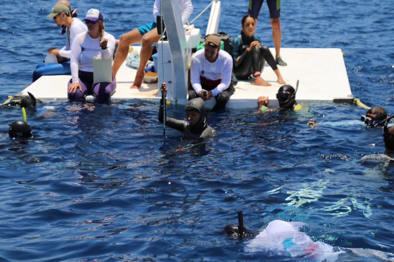 Realizan competencia de buceo libre en Roatán