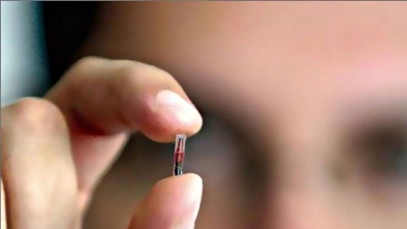 Conozca el "chip sexual" que está causando revuelo